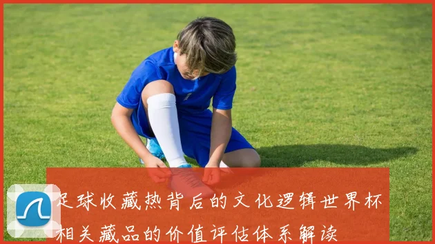足球收藏热背后的文化逻辑世界杯相关藏品的价值评估体系解读