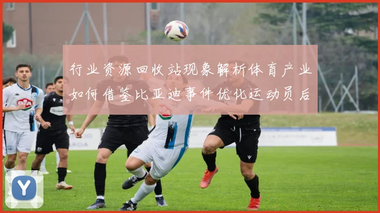 行业资源回收站现象解析体育产业如何借鉴比亚迪事件优化运动员后勤保障