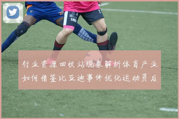 行业资源回收站现象解析体育产业如何借鉴比亚迪事件优化运动员后勤保障