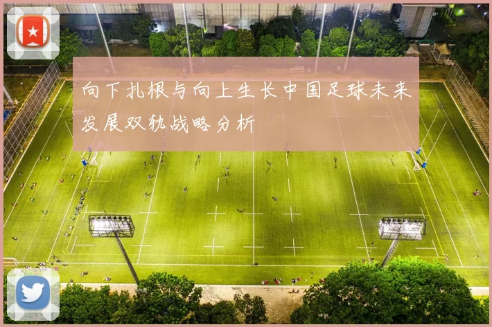 向下扎根与向上生长中国足球未来发展双轨战略分析